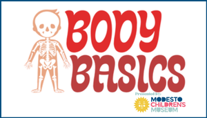 Body Basics Presente